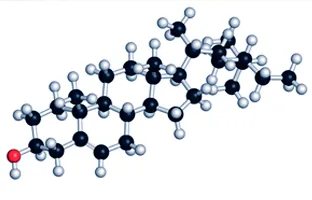 Beta Sitosterol