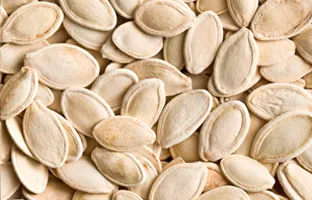 Pumpkin Seed